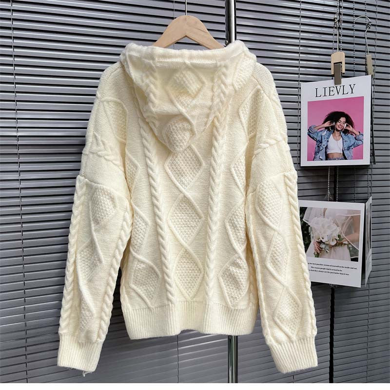 Janete | Klassieke en stijlvolle winter Hoodie